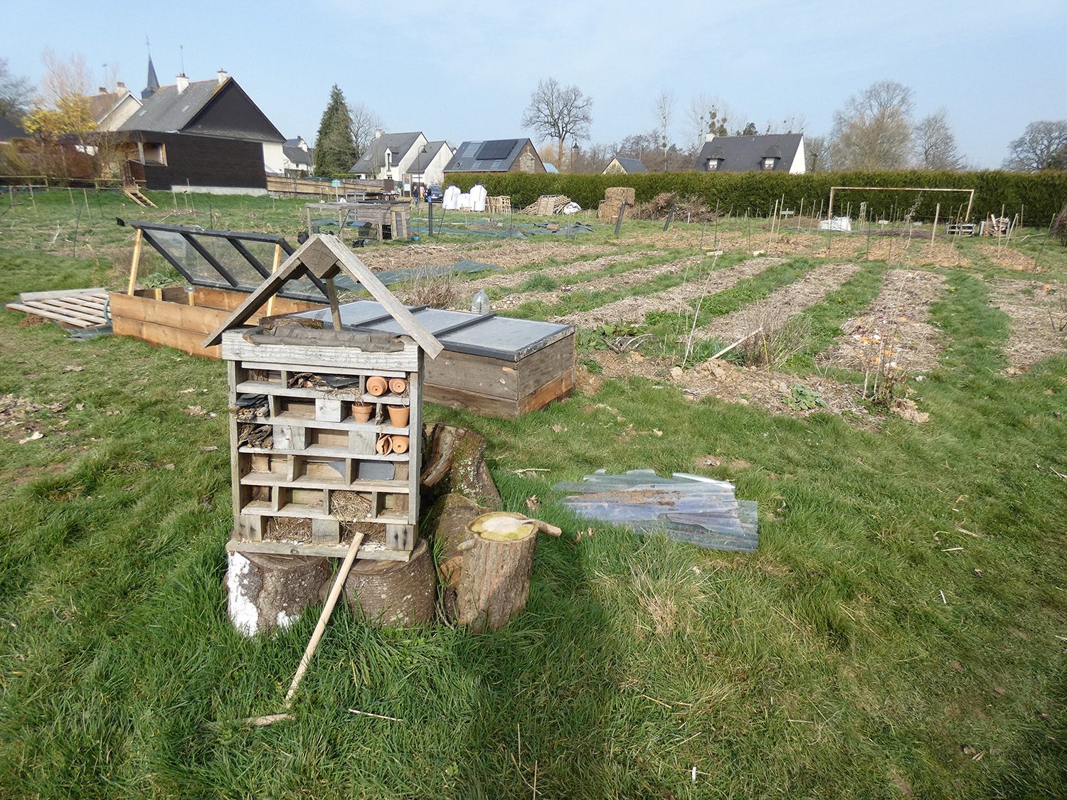 Le champ de patates permaculture Langouet Le champ de patates permaculture Langouet
