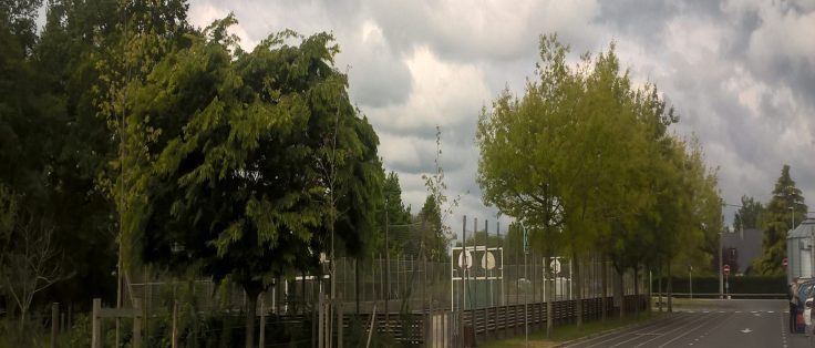Bouvron city stade