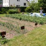 Potager communal de Neulliac