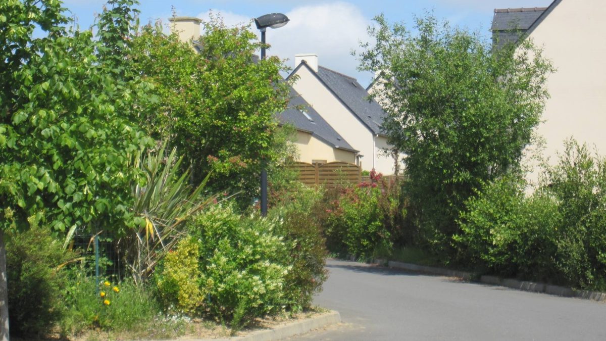 ParthenaydeBretagne (35) BRUDED