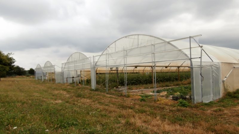 Communauté de Communes du Pays de Redon espace test agricole