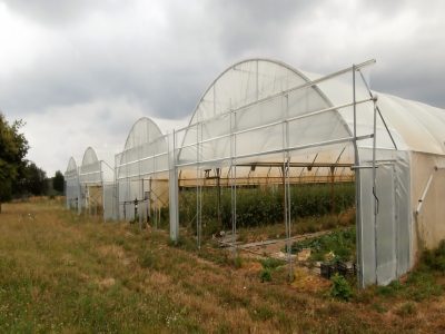 Communauté de Communes du Pays de Redon espace test agricole