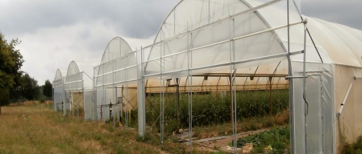 Communauté de Communes du Pays de Redon espace test agricole