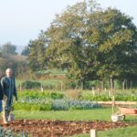 Breteil jardins du Fresne