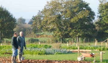 Breteil jardins du Fresne