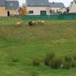 La Baussaine bassin retention