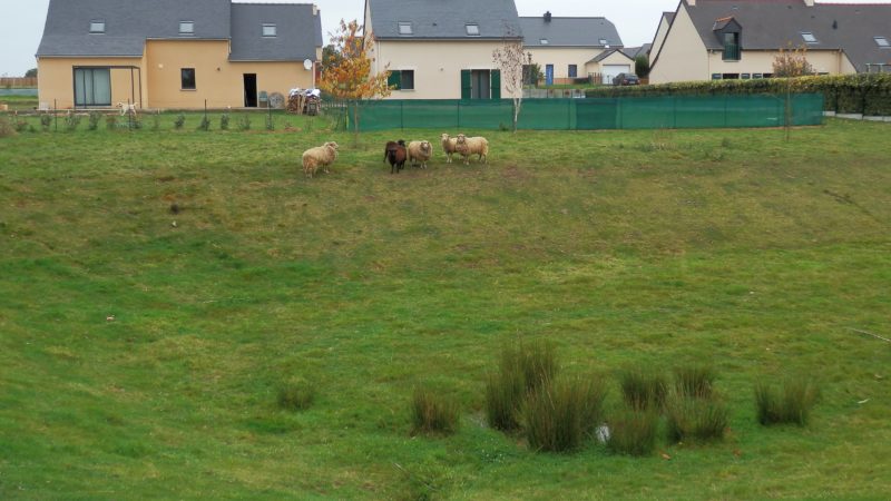 La Baussaine bassin retention