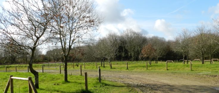 Pluneret