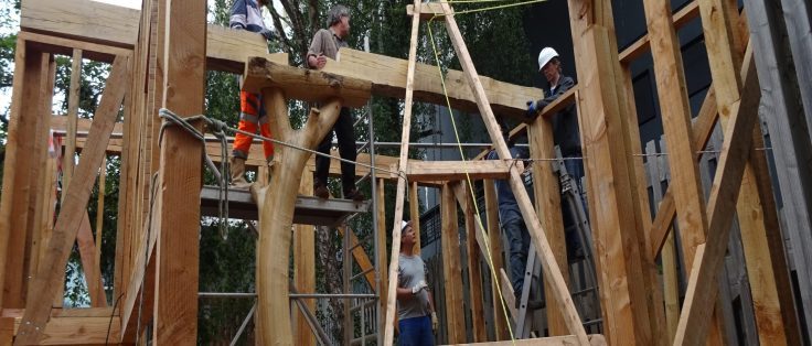 bois d'oeuvre pour une crèche associative