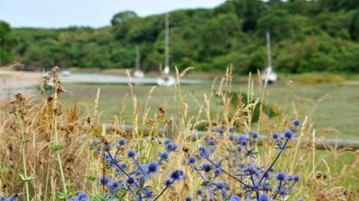 saintlunaire-galerie-3-768×509