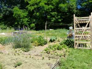 Locqueltas : jardins partagés en centre bourg