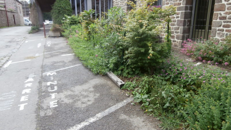 Hédé Bazouges - végétalisation du bourg