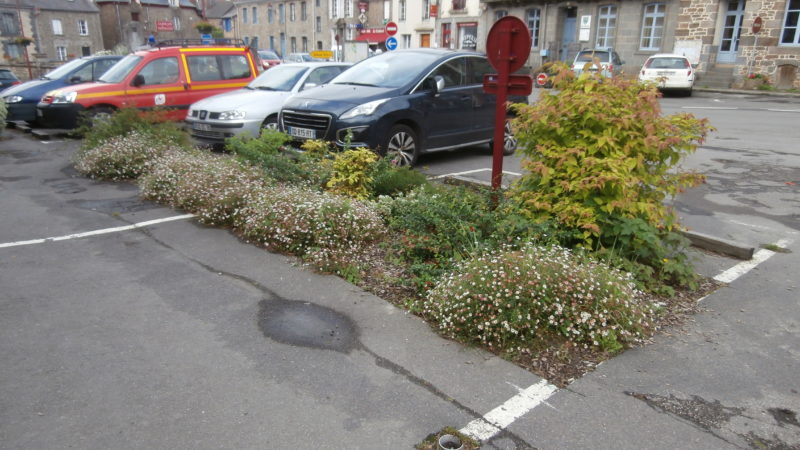 Hédé Bazouges - végétalisation du bourg