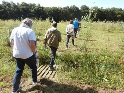 visite saulaie bouvron