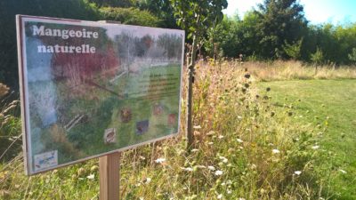 seminaire_saint-lunaire_aout2018-11