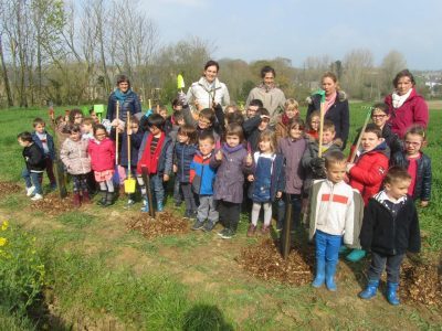 pleudaniel-les-enfants-participent–la-plantation_-photo-ouest-france