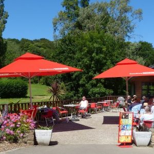 Visite à Saint-Jean-du-Doigt le 4 juillet