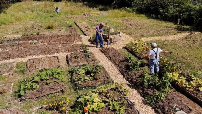 lanmeur_jardin-partage_2020_bd