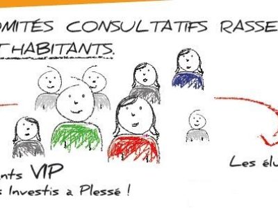 plessé_comites-consultatifs