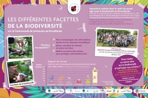 CC Brocéliande biodiversité