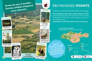 Expo CC Brocéliande biodiversité