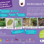 CC Brocéliande biodiversité