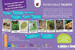 CC Brocéliande biodiversité