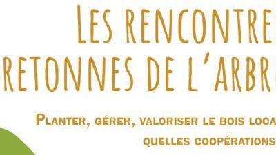 Rencontres bretonnes de l’arbre – 25 novembre à Paimpont (35)