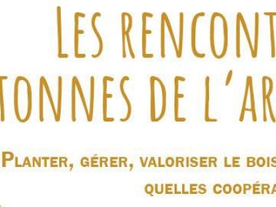 Rencontres bretonnes de l’arbre – 25 novembre à Paimpont (35)