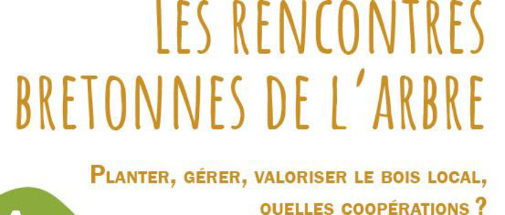 Rencontres bretonnes de l'arbre - 25 novembre à Paimpont (35)