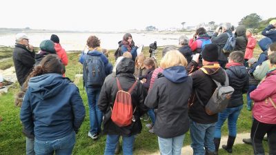 lancement-19-mars-observation-oiseaux-foxaly_b