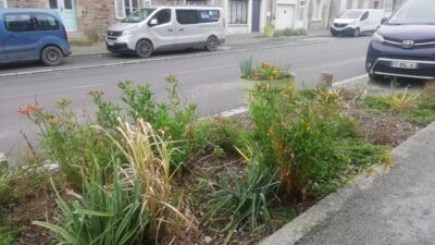 marcille-robert-cr-bruded-2022-9