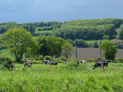 champ – agriculture