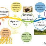 la haye fouassière - production alimentaire locale