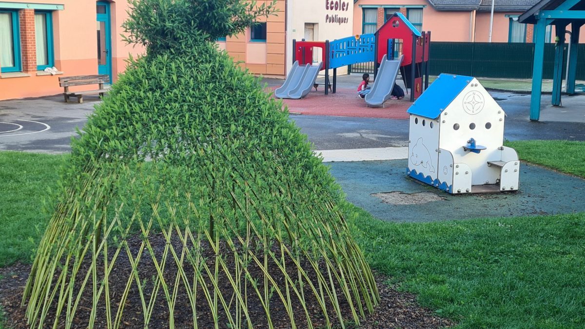Une cour végétalisée par les services techniques à Laillé (35) – BRUDED