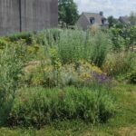 espaces verts st samson