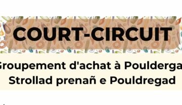 court-circuit-pouldergat