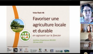 iillustration-visio-flash-agriculture