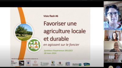 iillustration-visio-flash-agriculture