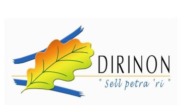 dirinon_logo