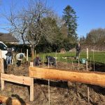 Concoret jardin ouvert