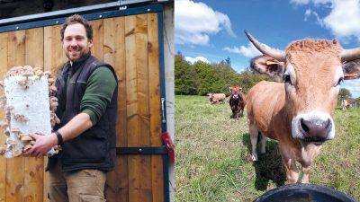 tous-a-la-ferme-(c)guichen