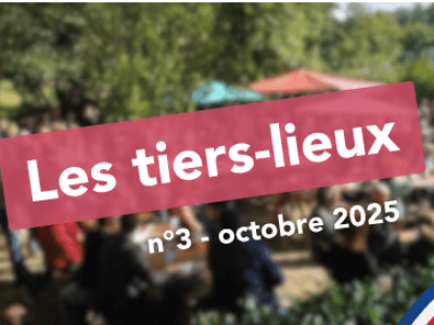 Visio-flash par BRUDED sur les tiers-lieux et les collectivités