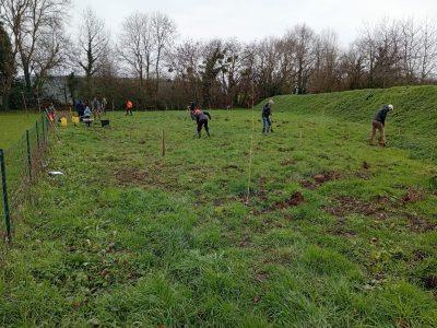 Plouër-sur-Rance plantation d&rsquo;arbres