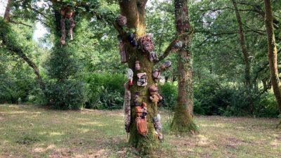 site_botmeur_2026_06-15-16b