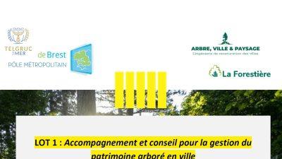 plan-de-gestion-arbres-telgruc-su-mer