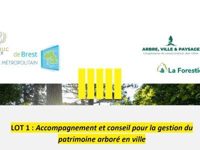 plan-de-gestion-arbres-telgruc-su-mer